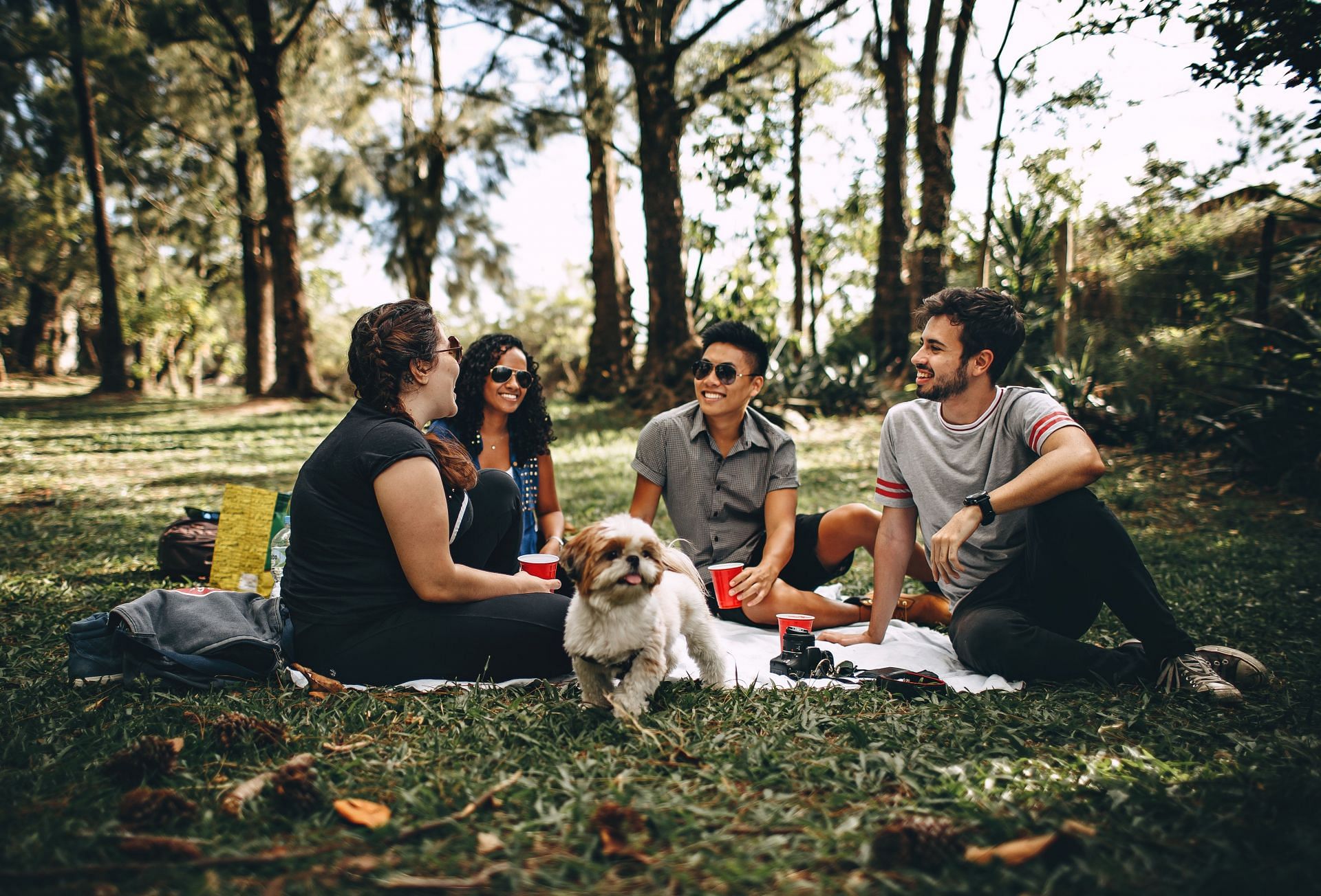 Have you met a pet mom/dad? (Photo via Pexels/Helena Lopes)